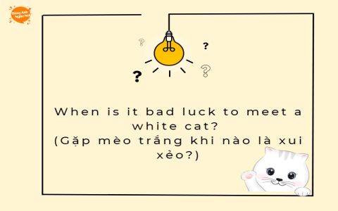 Học tiếng Anh 1 kèm 1 cho người đi làm: Mẹo hay giúp bạn nói nhanh như gió.