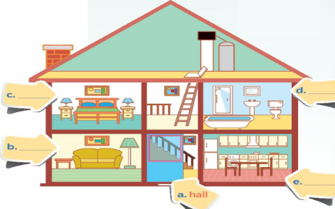 Tiếng Anh lớp 8 Unit 12 A Closer Look 1: Từ vựng trọng tâm và cách phát âm.
