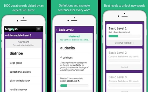 App học từ vựng tiếng anh lớp 10 chương trình mới nào tốt nhất? Gợi ý vài ứng dụng miễn phí hay!