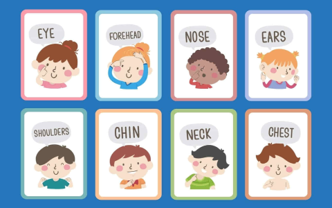 Tiếng anh lớp 2 có khó không? Mẹo hay cho bé học vui mỗi ngày!