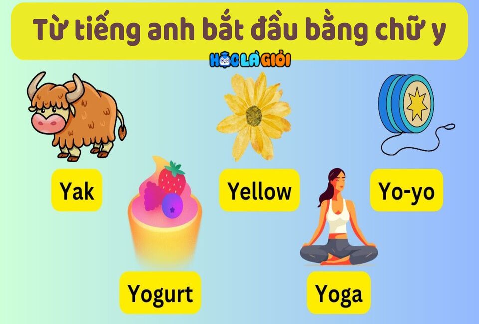 Những từ tiếng anh bắt đầu bằng chữ y phổ biến? Đây là danh sách đầy đủ.