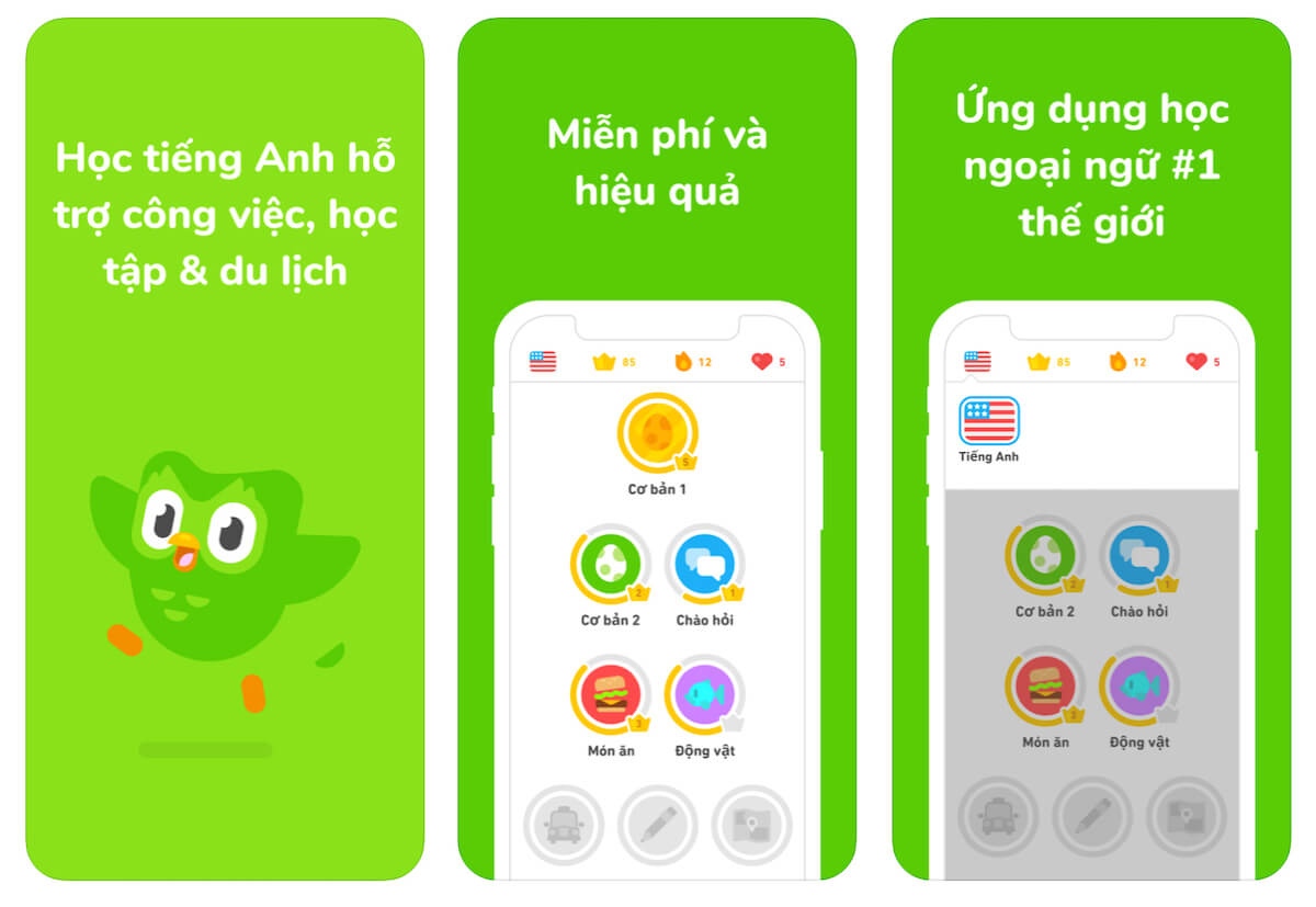 Cách cài đặt ứng dụng học tiếng Anh Duolingo dễ dàng? Hướng dẫn cho người mới.