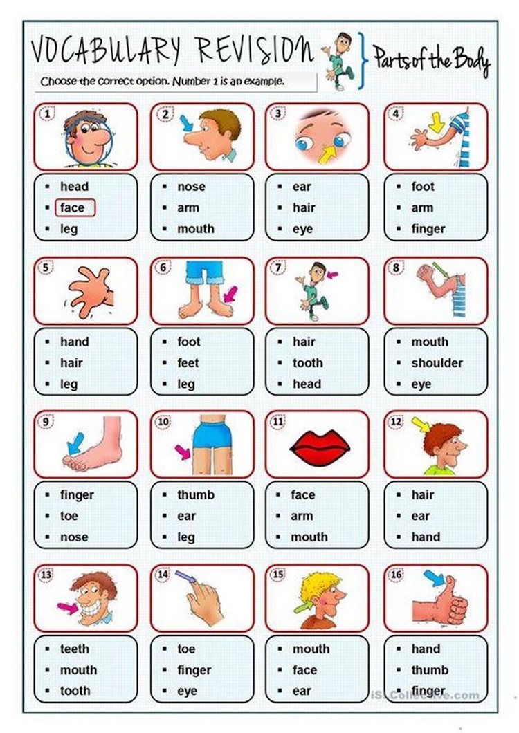 bài tập tiếng anh lớp 1 làm sao cho bé học giỏi? Mách mẹ vài mẹo hay nè.