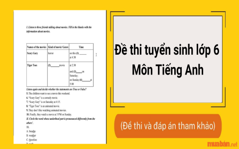 Cách ôn luyện đề thi tiếng anh lớp 6 hiệu quả? Bí quyết đạt điểm cao.
