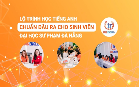 Tiếng anh cho người mới bắt đầu nên học gì đầu tiên? (Học theo vầy là chuẩn bài luôn!)