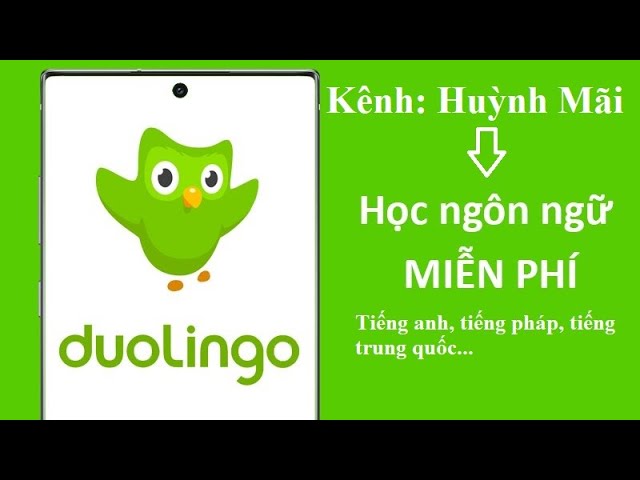 Duolingo học tiếng Anh miễn phí như thế nào? Hướng dẫn chi tiết cho người mới.