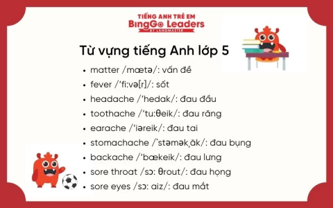 Từ vựng tiếng anh lớp 7 unit 12 khó nhớ? (Cách học từ vựng siêu tốc)