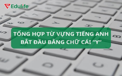 Những từ tiếng anh bắt đầu bằng chữ y phổ biến? Đây là danh sách đầy đủ.