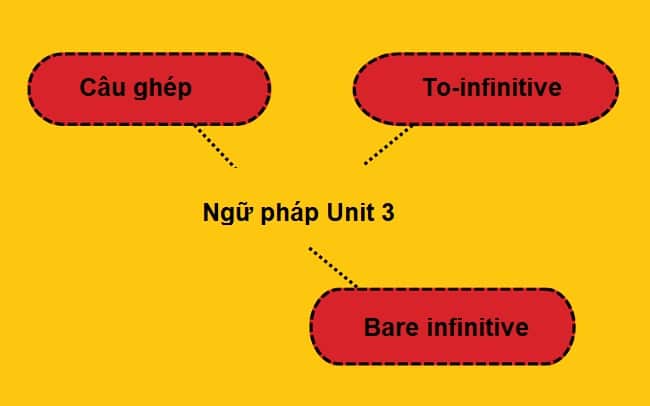 Ngữ pháp Tiếng Anh lớp 10 Unit 3: Tổng hợp đầy đủ nhất!