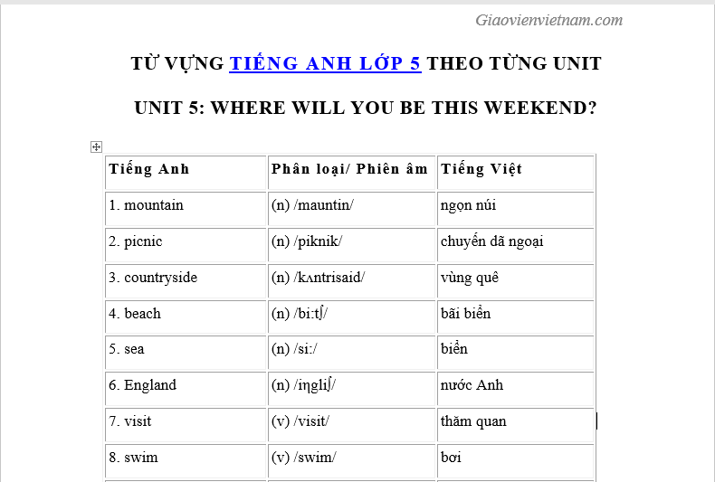 Từ vựng tiếng Anh lớp 5 Unit 5 Lesson 3 có những từ nào? (Liệt kê đầy đủ và cách nhớ lâu)