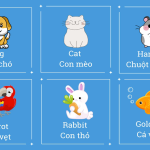 Giải bài tập sách tiếng anh lớp 5 tập 2: Mẹo hay giúp con hiểu bài nhanh.