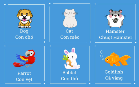 Giải bài tập sách tiếng anh lớp 5 tập 2: Mẹo hay giúp con hiểu bài nhanh.