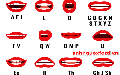 Bảng chữ cái tiếng anh và cách đọc chuẩn (Mẹo học nhanh cho người mới bắt đầu)