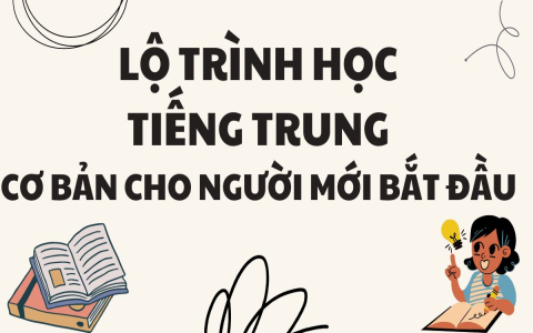Tài liệu học tiếng anh cho người mới bắt đầu tìm ở đâu? Mấy nguồn này cực chuẩn không cần chỉnh!