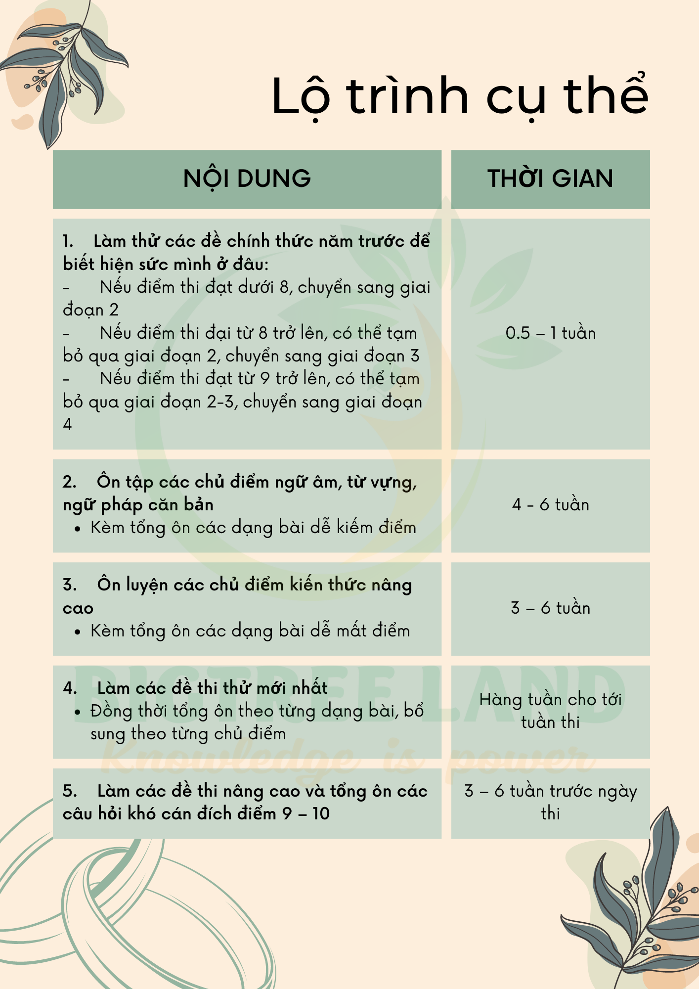 Cách ôn luyện đề thi tiếng anh lớp 6 hiệu quả? Bí quyết đạt điểm cao.