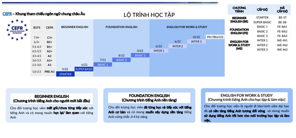 Lộ trình học tiếng Anh cấp tốc cho người mới bắt đầu