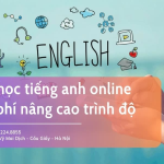 Khóa học tiếng anh online free ở đâu tốt nhất hỏi 3 cách này