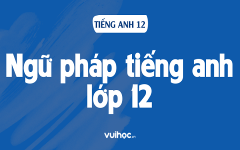 Sách tiếng Anh lớp 9 học những gì? (Tổng hợp kiến thức trọng tâm dễ hiểu nhất)