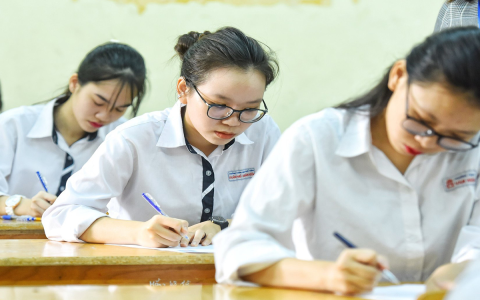 Hướng dẫn soạn tiếng Anh lớp 7 từ A-Z: Học là hiểu ngay tức thì.