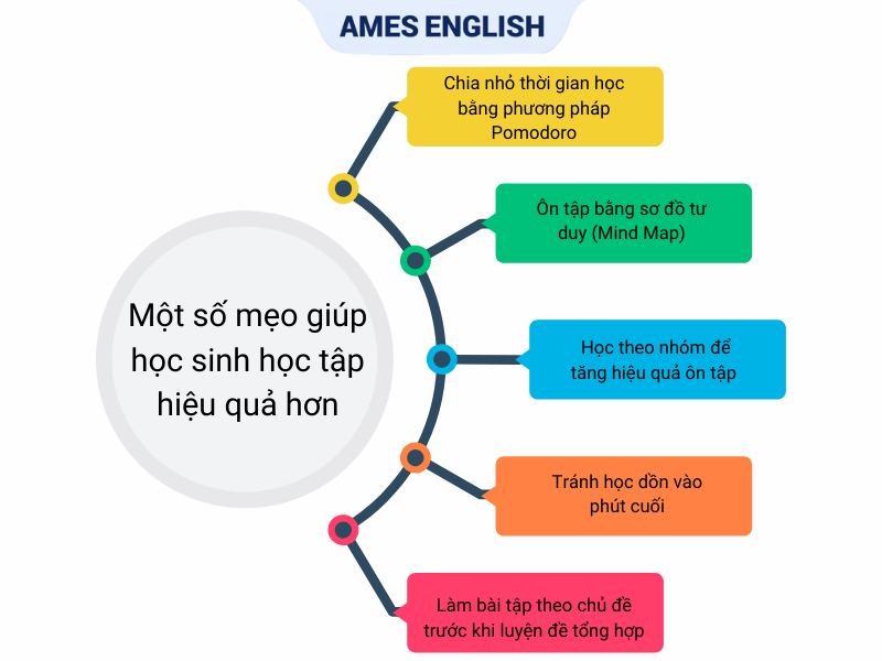 Cách soạn tiếng Anh lớp 9 nhanh và dễ? Mẹo hay cho học sinh nắm vững kiến thức.