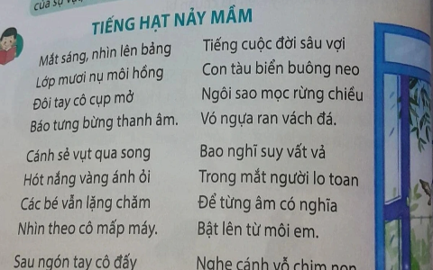 Bài tập tiếng anh lớp 7 nâng cao có khó lắm không? (Thử sức với các dạng bài này nhé)