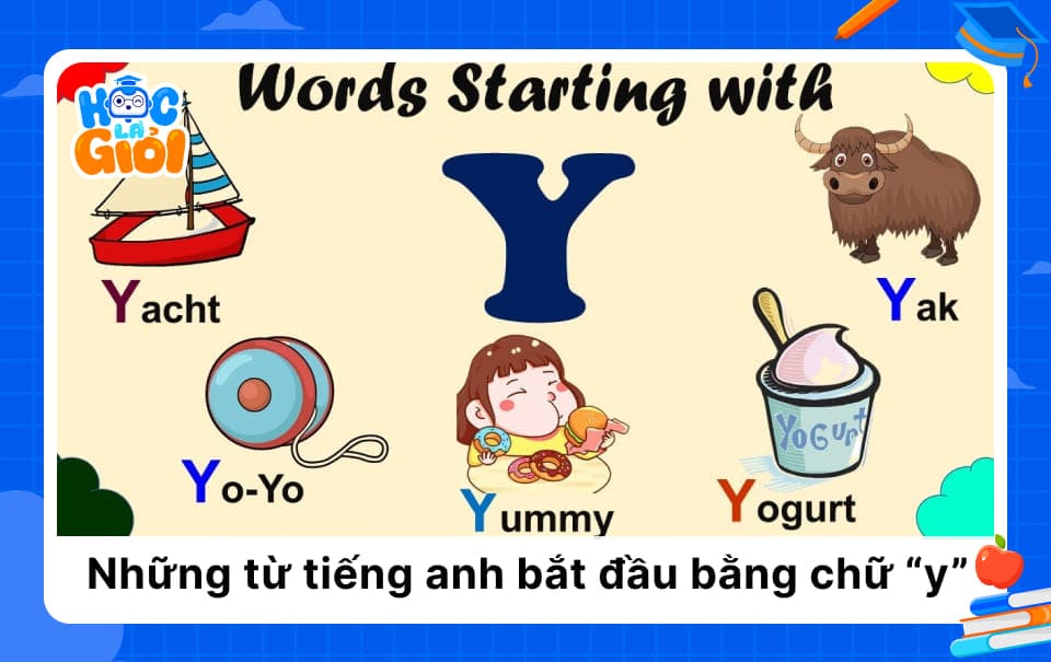 Những từ tiếng anh bắt đầu bằng chữ y phổ biến? Đây là danh sách đầy đủ.