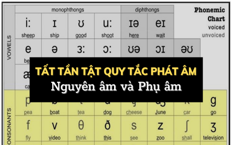 Cách soạn tiếng Anh lớp 7 đầy đủ nhất (Tổng hợp kiến thức trọng tâm bạn cần biết)