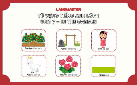 Trọn bộ từ vựng tiếng Anh lớp 11 sách mới? Nắm chắc để thi cử ngon lành.