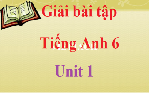Tiếng Anh lớp 6 Unit 1 học thế nào cho dễ hiểu? Mấy cách này đơn giản lắm nè.