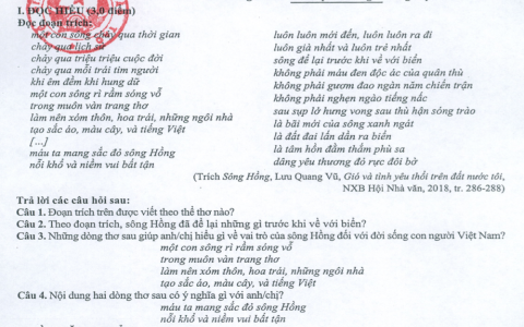 Học tiếng anh cùng cô Vũ Mai Phương dễ hiểu lắm không? (Kinh nghiệm thực tế từ người học)
