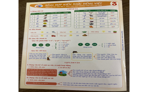 Sách tiếng anh lớp 3 gồm những gì? Tổng hợp kiến thức trọng tâm cho bé.