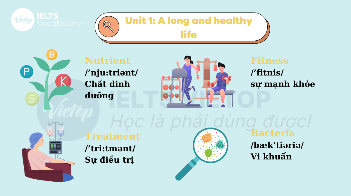 tiếng anh lớp 11 unit 1 từ vựng khó không (mẹo nhớ từ vựng siêu nhanh)
