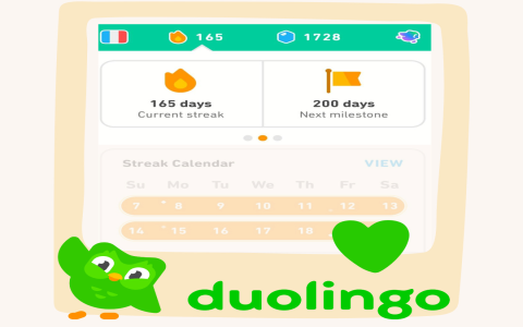 Học tiếng Anh miễn phí Duolingo có hiệu quả không? Bí quyết học nhanh tiến bộ.