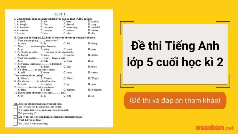 Đề tiếng anh lớp 5 tìm ở đâu? Tổng hợp các dạng bài mới nhất đây nè.