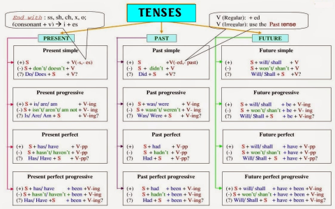 Sách tiếng Anh lớp 5 học những gì? Tổng hợp kiến thức trọng tâm cho bé.
