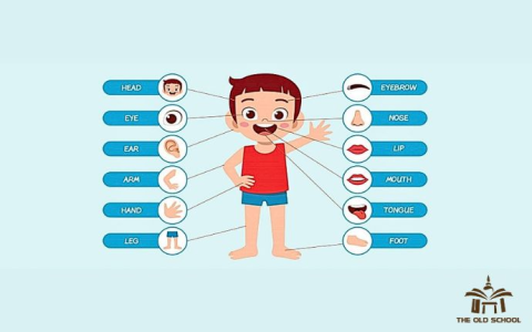Học các tháng trong năm bằng tiếng Anh dễ nhớ? Đây là mẹo cực hay!