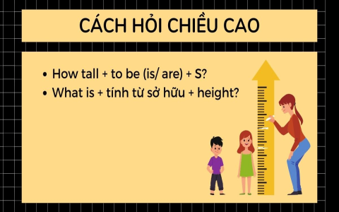 Tiếng anh dành cho người đi làm có quan trọng không? (Biết rồi lương sẽ cao hơn!)