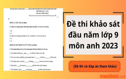 Soạn tiếng Anh lớp 9 hiệu quả ra sao? Nắm vững kiến thức, điểm cao bất ngờ.