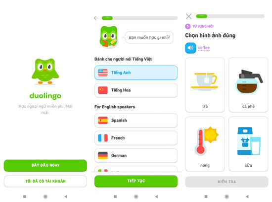App học tiếng Anh giao tiếp miễn phí cho người đi làm? Gợi ý ứng dụng luyện nói mọi lúc mọi nơi.