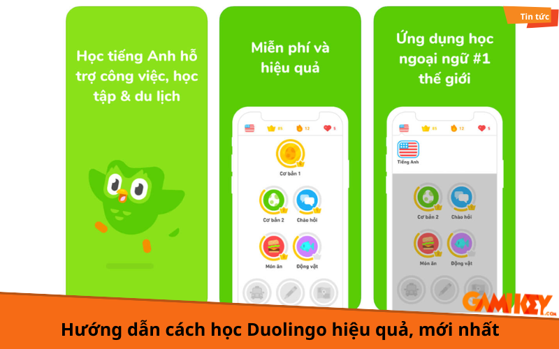 Làm sao để duolingo học tiếng anh miễn phí tốt nhất? Bí quyết đơn giản ai cũng làm được.