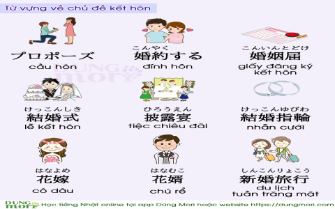 Mới bắt đầu luyện siêu trí nhớ từ vựng tiếng anh làm sao cho đúng? Đây là cách cho người mới.