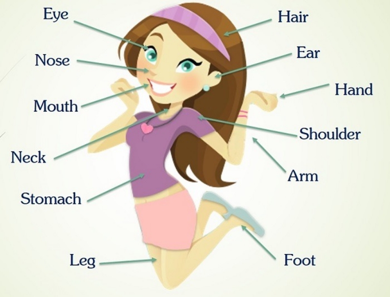 Học từ vựng tiếng Anh mỗi ngày: 3 bước đơn giản dễ thực hiện