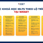 Hướng dẫn học tiếng Anh hiệu quả: Bí quyết nói trôi chảy từ chuyên gia!