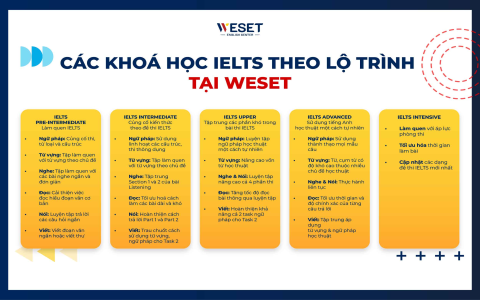 Hướng dẫn học tiếng Anh hiệu quả: Bí quyết nói trôi chảy từ chuyên gia!