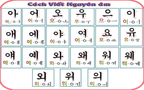 Chương trình học tiếng anh giao tiếp miễn phí nào dễ học? 3 lựa chọn phù hợp cho người mới bắt đầu!