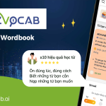 Cách học tiếng Anh cho học sinh cấp 2 miễn phí top 3 app hay nhất hiện nay!
