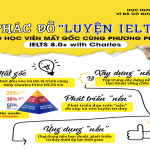 Tiếng anh cho người mất căn bản học bao lâu giỏi? Kế hoạch 30 ngày thấy rõ kết quả!