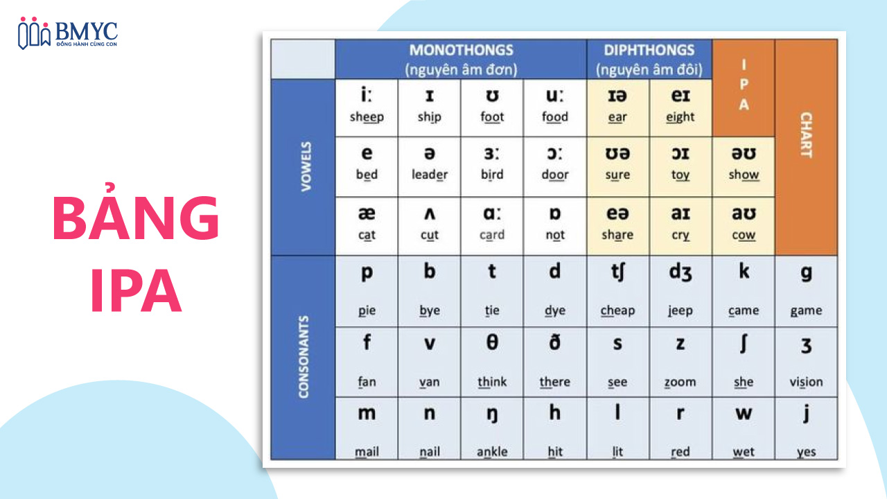 Cách học tiếng Anh cho người mới bắt đầu học phát âm chuẩn nhanh chóng