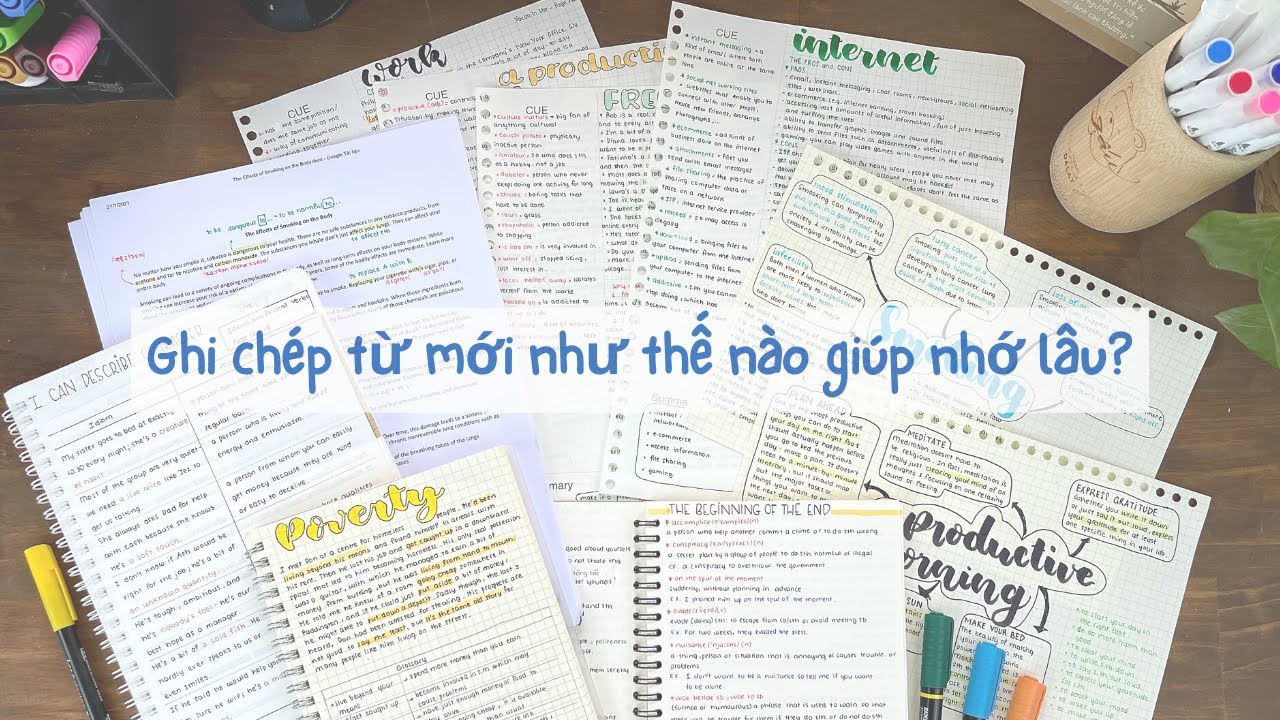 Tiếng Anh lớp 6 từ vựng (Học nhanh nhớ lâu)
