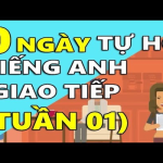 học tiếng anh giao tiếp cho người mới bắt đầu mất bao lâu thành thạo